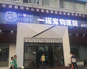 歷下寵物醫(yī)院裝修設(shè)計(jì)案例